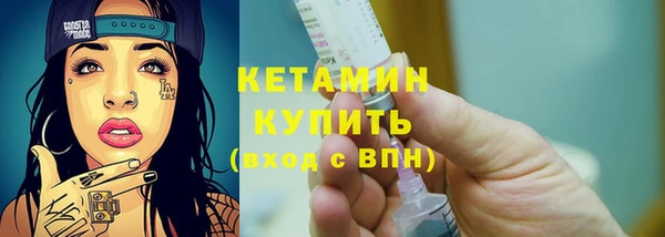 стаф Тутаев