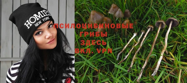 дживик Тихорецк