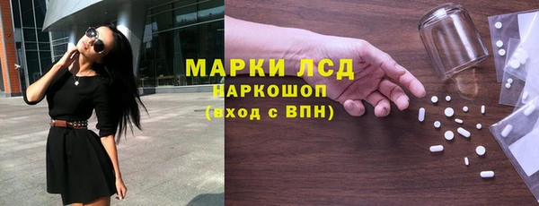 стаф Тутаев