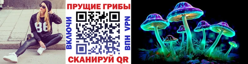 Псилоцибиновые грибы Magic Shrooms  наркота  Югорск 