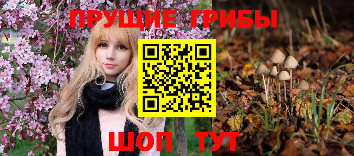 Псилоцибиновые грибы GOLDEN TEACHER  Югорск 